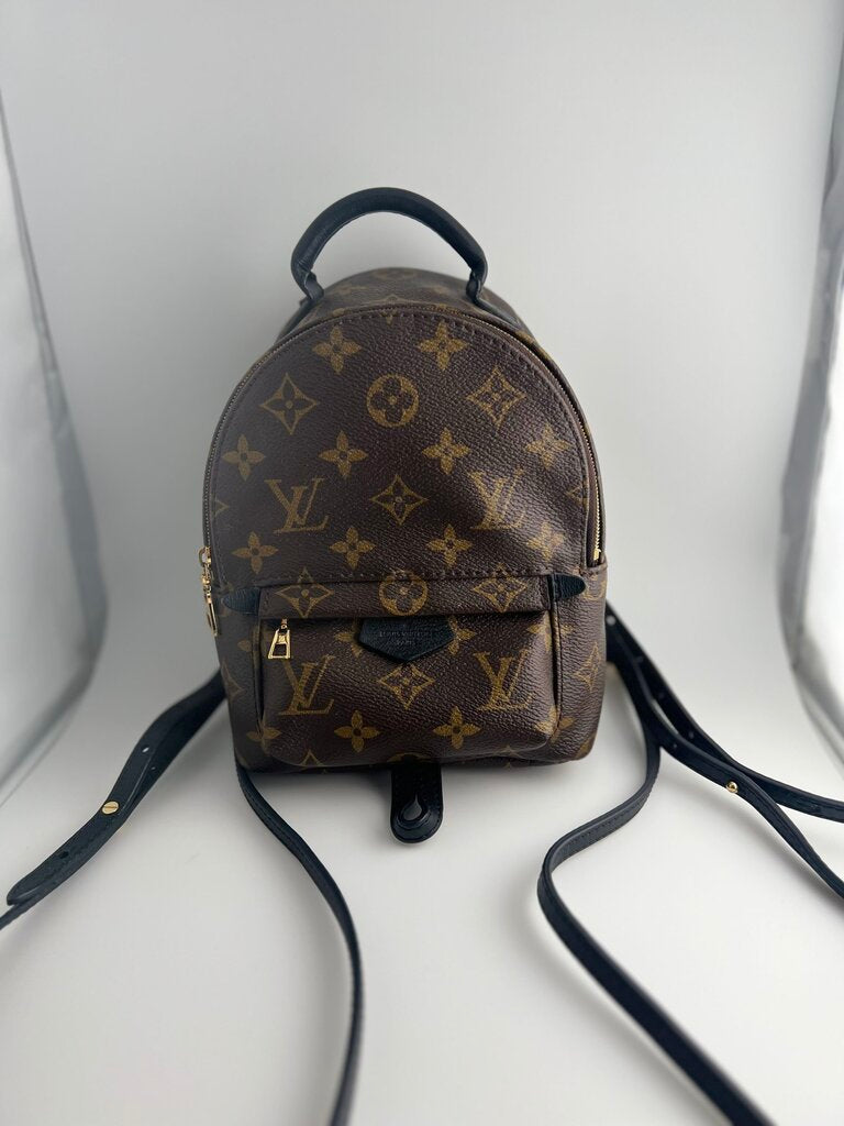 Palm Springs mini lv bag