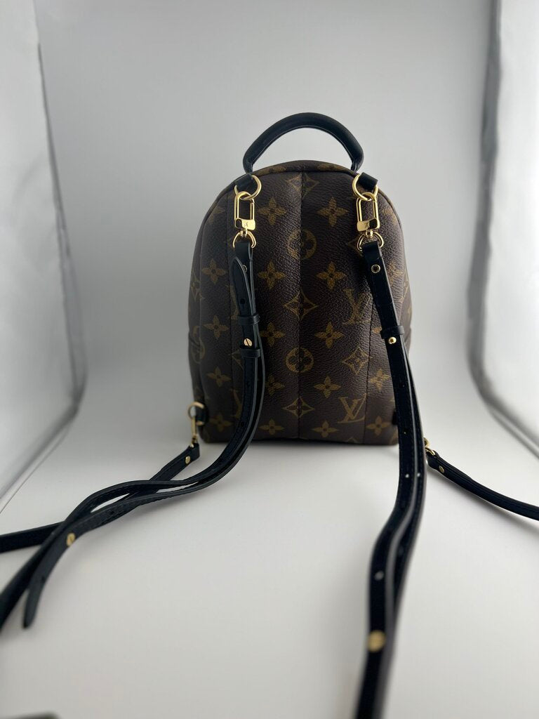 Palm Springs mini lv bag