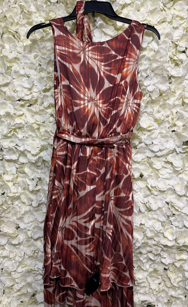 New Collection Brown & Beige Dress